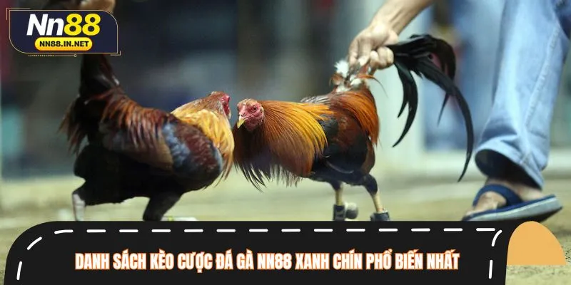 Đá gà NN88 đáp ứng trọn vẹn nhu cầu giải trí và kiếm thưởng của bet thủ