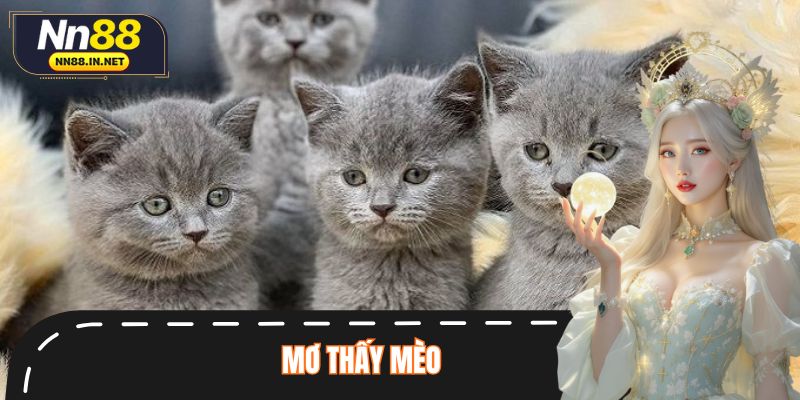 Mơ Thấy Mèo - Điềm Báo Và Con Số May Mắn Trong 2025