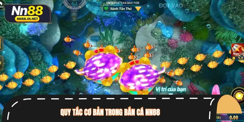 Nắm vững quy tắc săn cá để nhập cuộc thành công